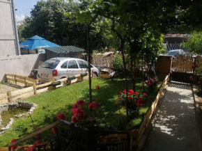 Apartman Trajkovic